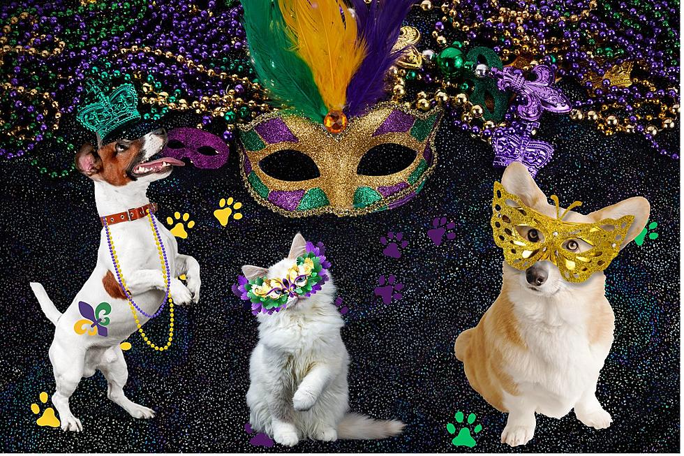 Let the Good Times Roll at Pawty Gras in Pampa