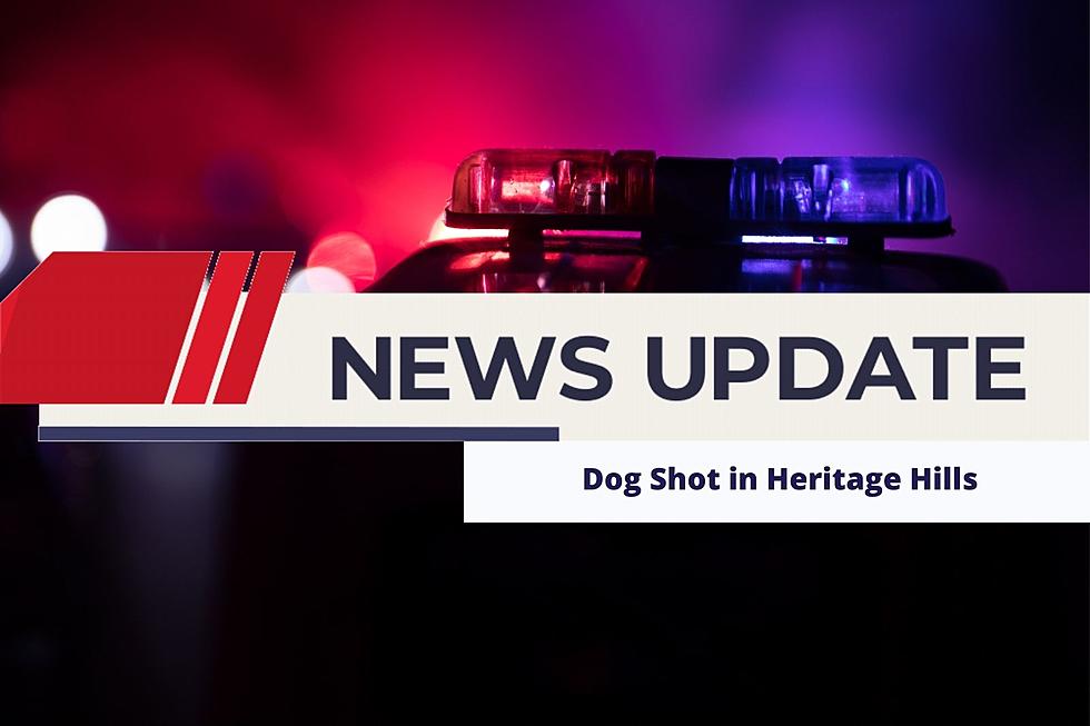 Teen Boy Arrested After Shooting Dog in Heritage Hills, Face Legal Consequences