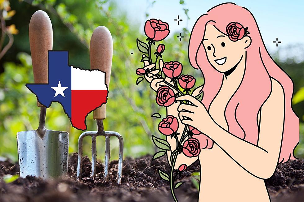 Texas is One of the Best Places to Get Naked With Plants