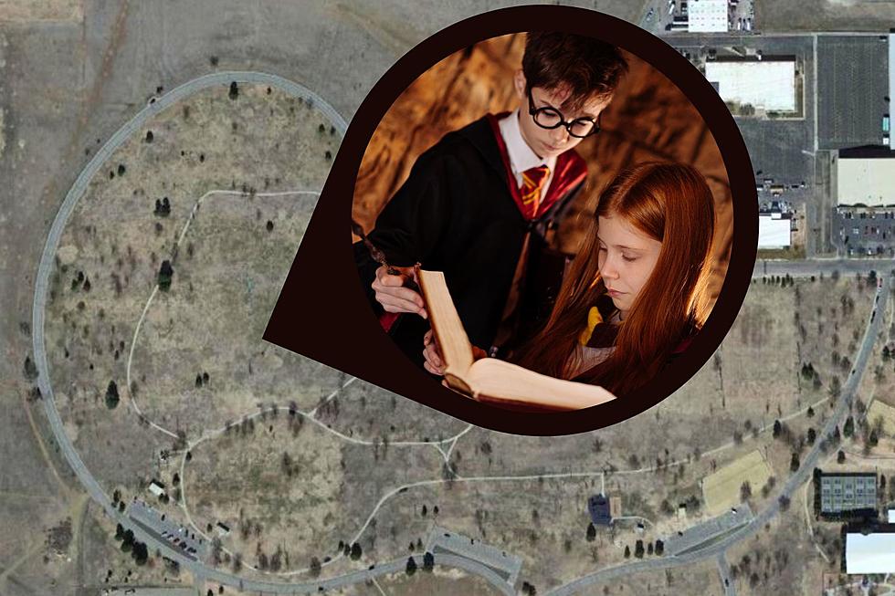 The Wizarding World Descends Upon Amarillo’s John Stiff Park to Celebrate Harry Potter’s Birthday