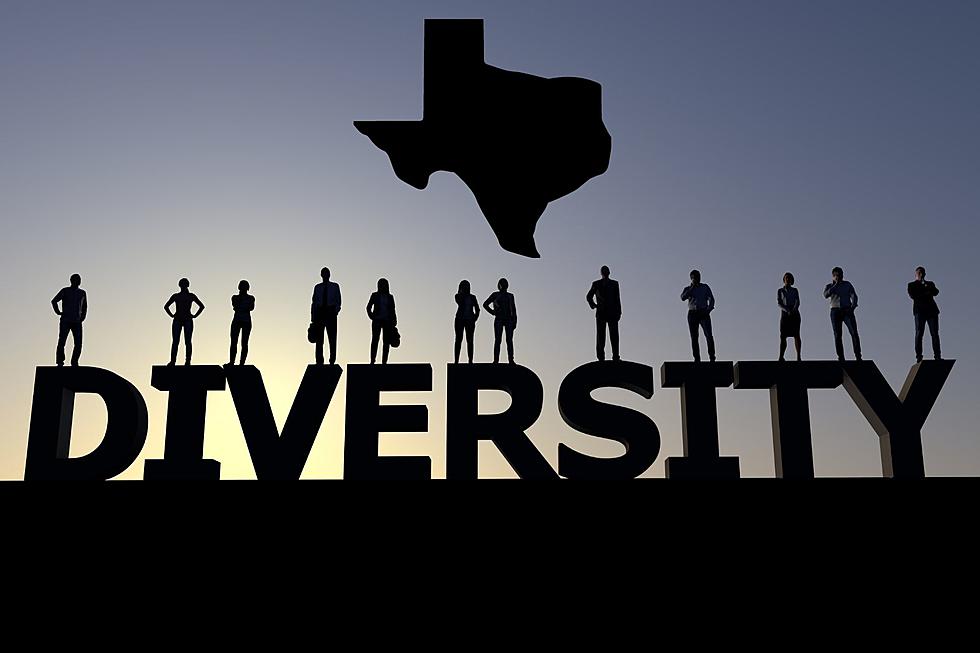 Texas is One of the Best States in the Country for Diversity