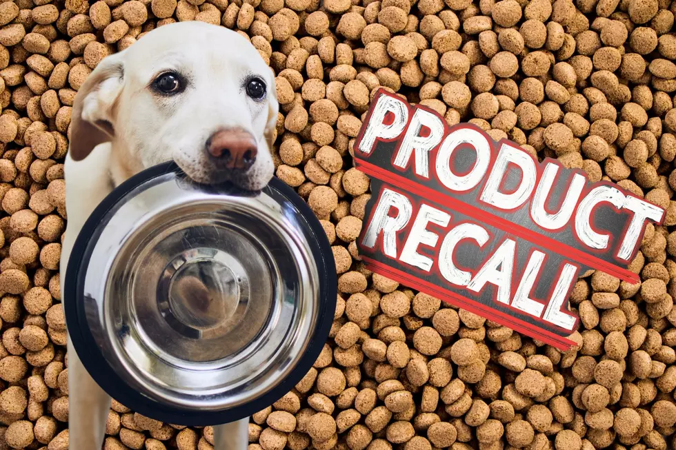 Texans Are Warned to Immediately Throw Away Popular Dog Food Sold at Walmart