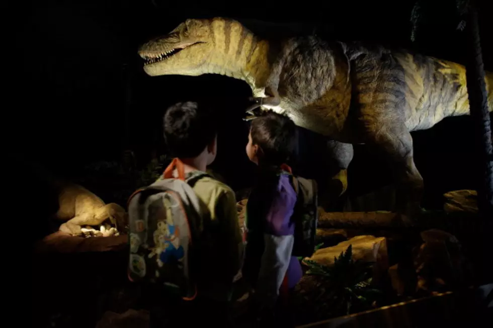 Michio Kaku Discusses Bringing Back The Dinosaurs [VIDEO]