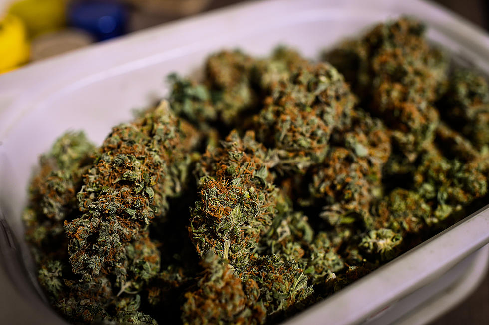 DPS Seizes Over $150,000 Worth Of Marijuana
