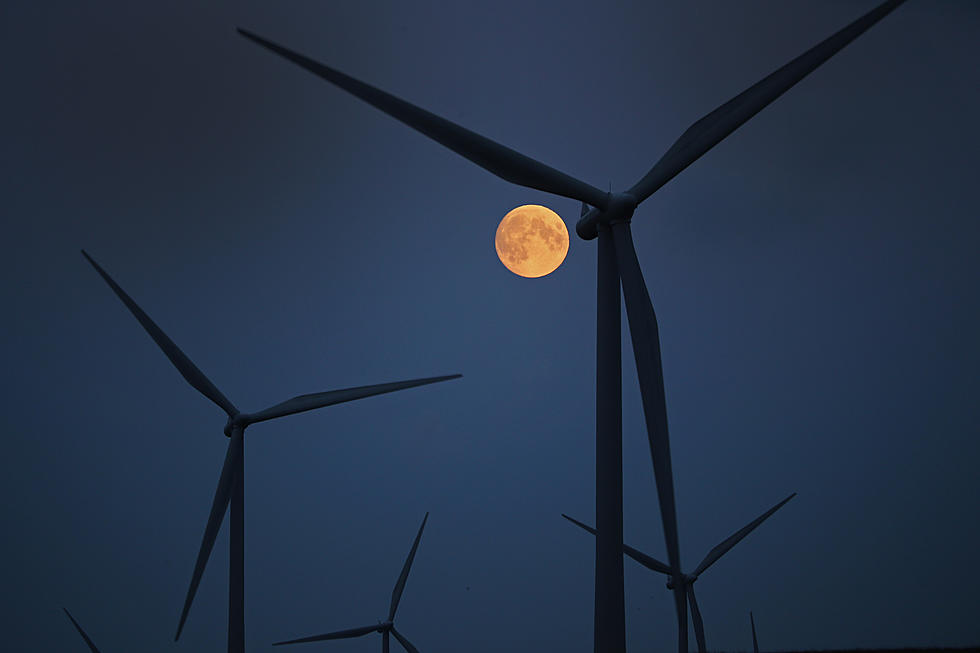 Xcel named tops in wind energy
