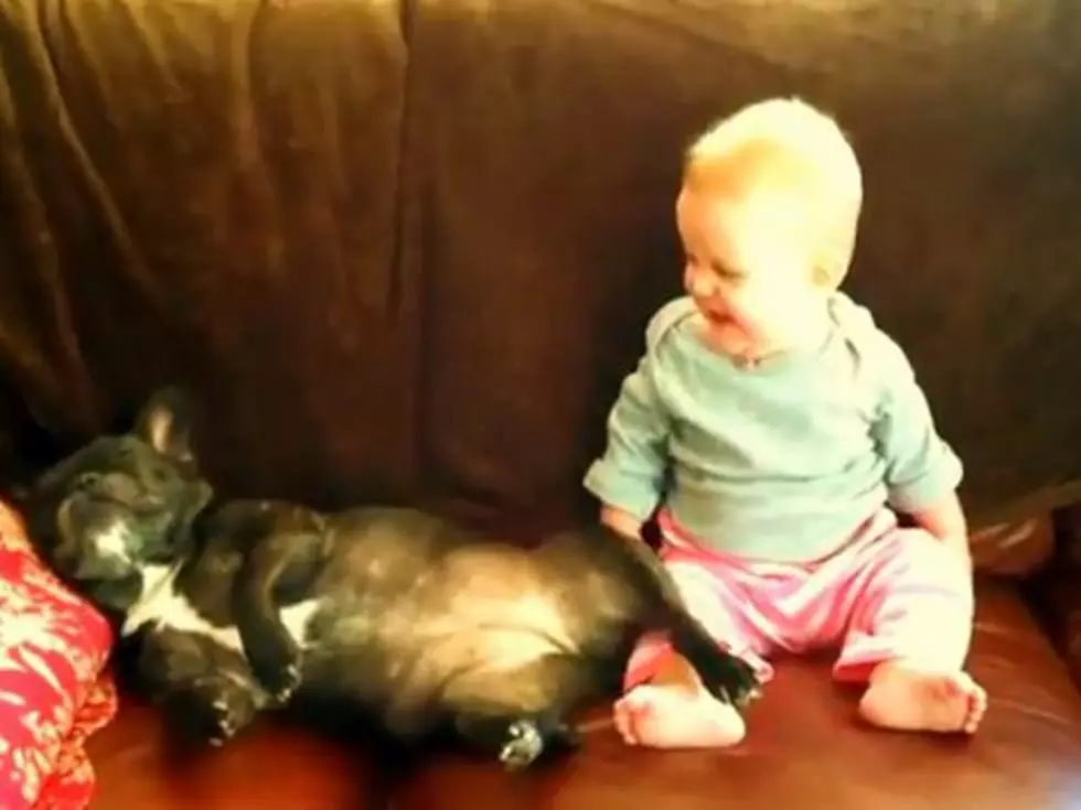 Baby Finds Snoring Bulldog High-Quality Entertainment [VIDEO]