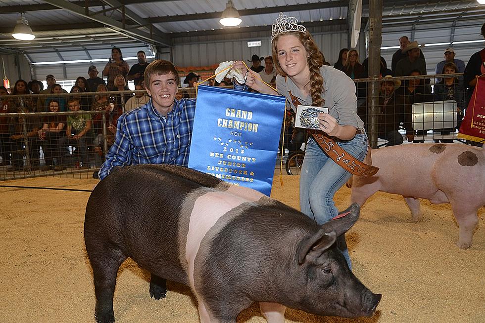 Bee County Junior Livestock and Homemakers Show