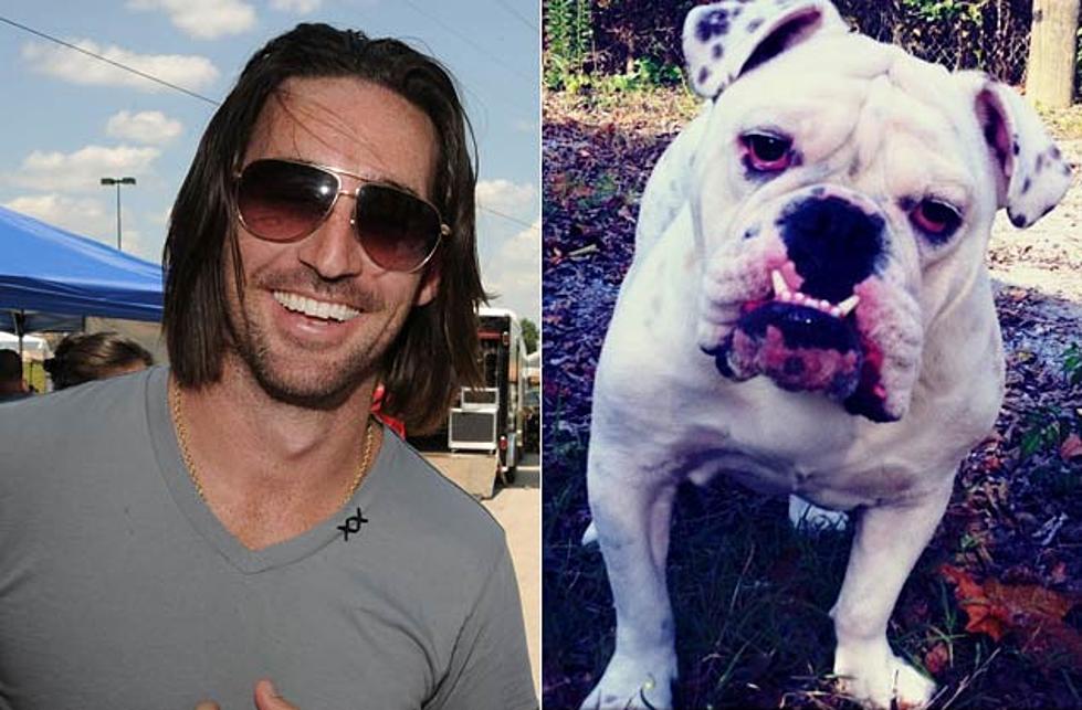 Jake Owen Tweets Picture of His Dog