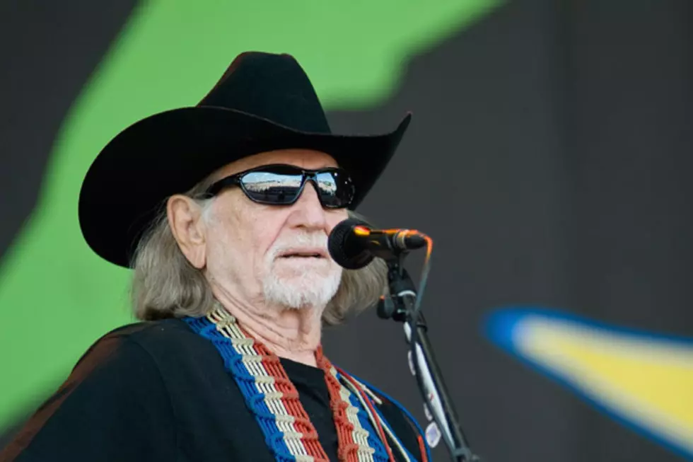 Willie Nelson to Release Album of Classic Covers