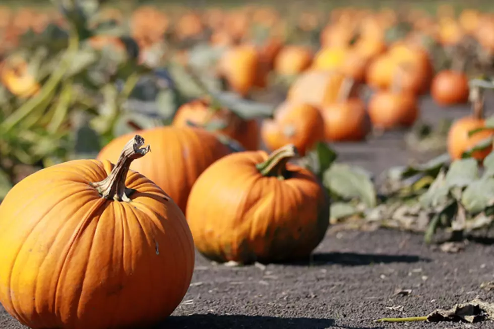 Country Stars Share Their Best Halloween Memories