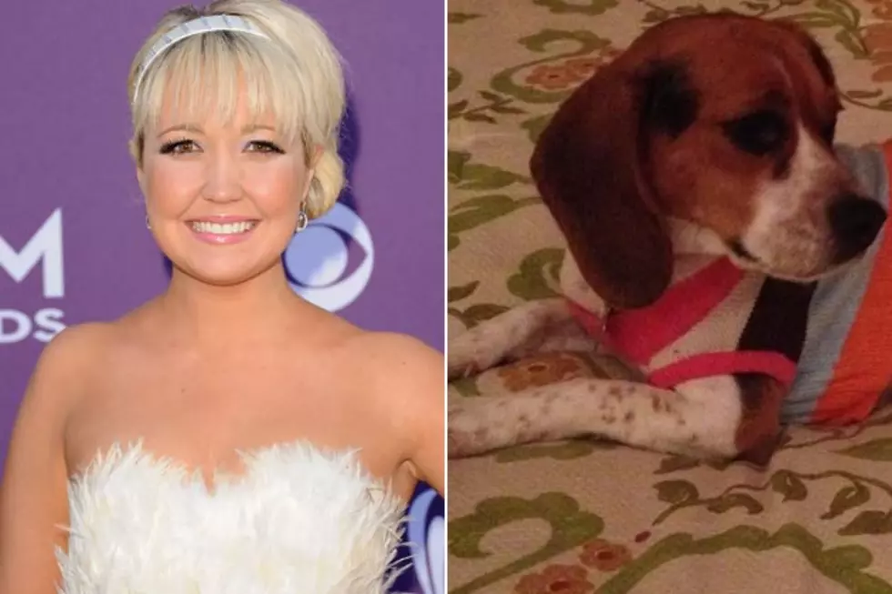 Steel Magnolia’s Meghan Linsey Adopts a Puppy