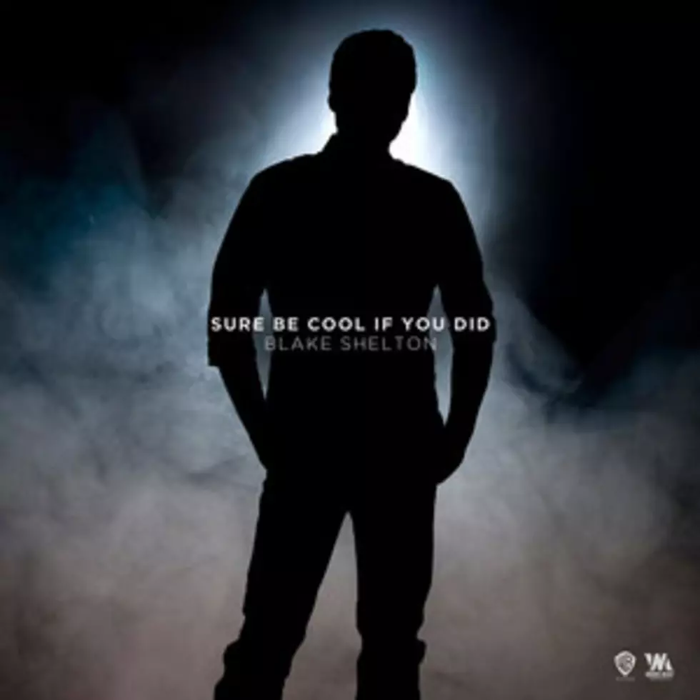 Blake Shelton, &#8216;Sure Be Cool if You Did&#8217; &#8211; Song Review