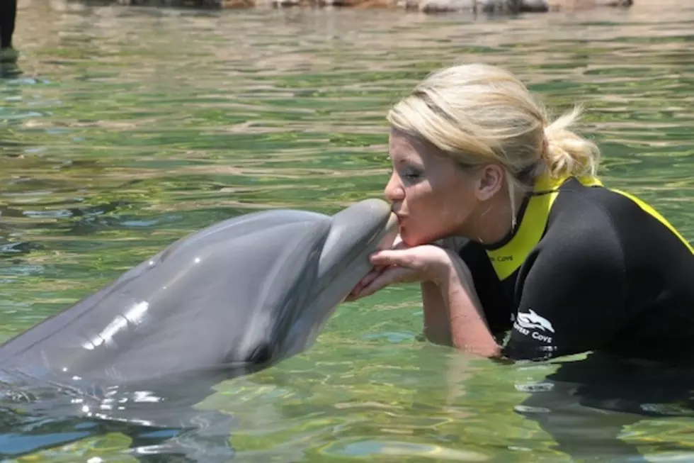 Lauren Alaina Kisses a Dolphin at SeaWorld