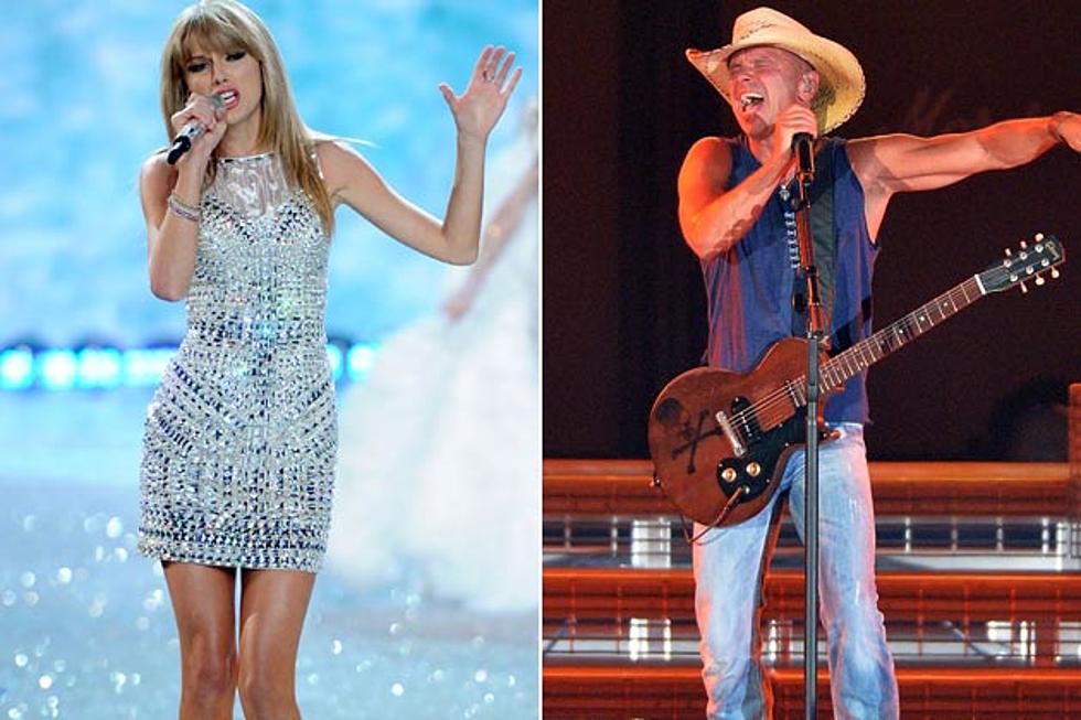 Taylor Swift, Kenny Chesney Had Two of Top Tours of 2013