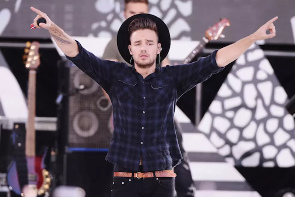 One Direction Singer to Try His Hand at Country Music?