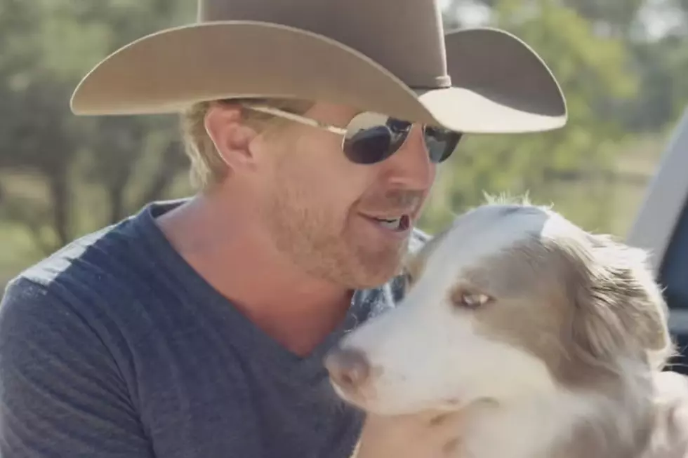Kyle Park Has a Doggone Good Time in 'Come On' Video