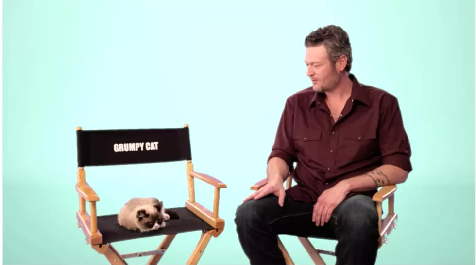 Blake Shelton Has Uncomfortable Interview With Grumpy Cat [Watch]