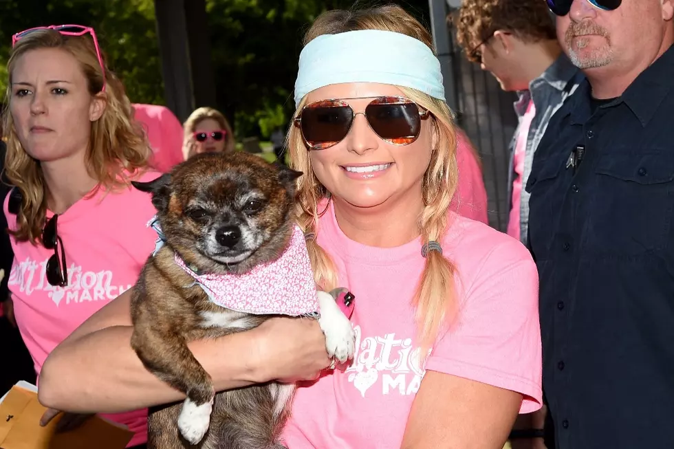 Miranda Lambert to Lead Another Mutt March at CMA Fest, Benefiting Rescue Dogs