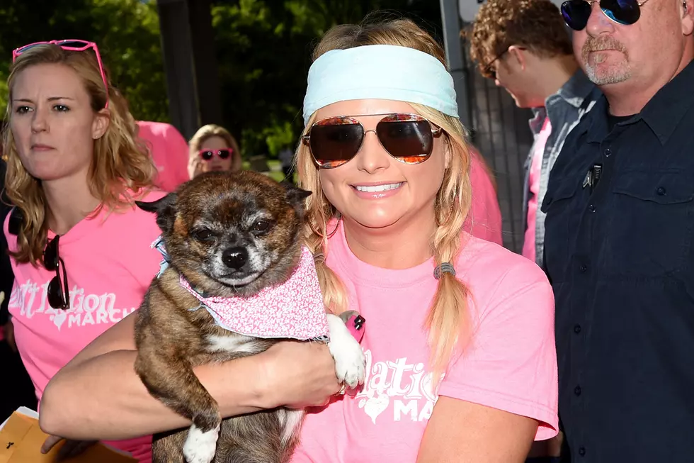 Miranda Lambert’s Donation Helps Massachusetts Shelter Animals Find Forever Homes