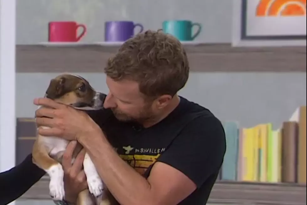 Dierks Bentley Adopts Adorable New Puppy During 'Today' Show 