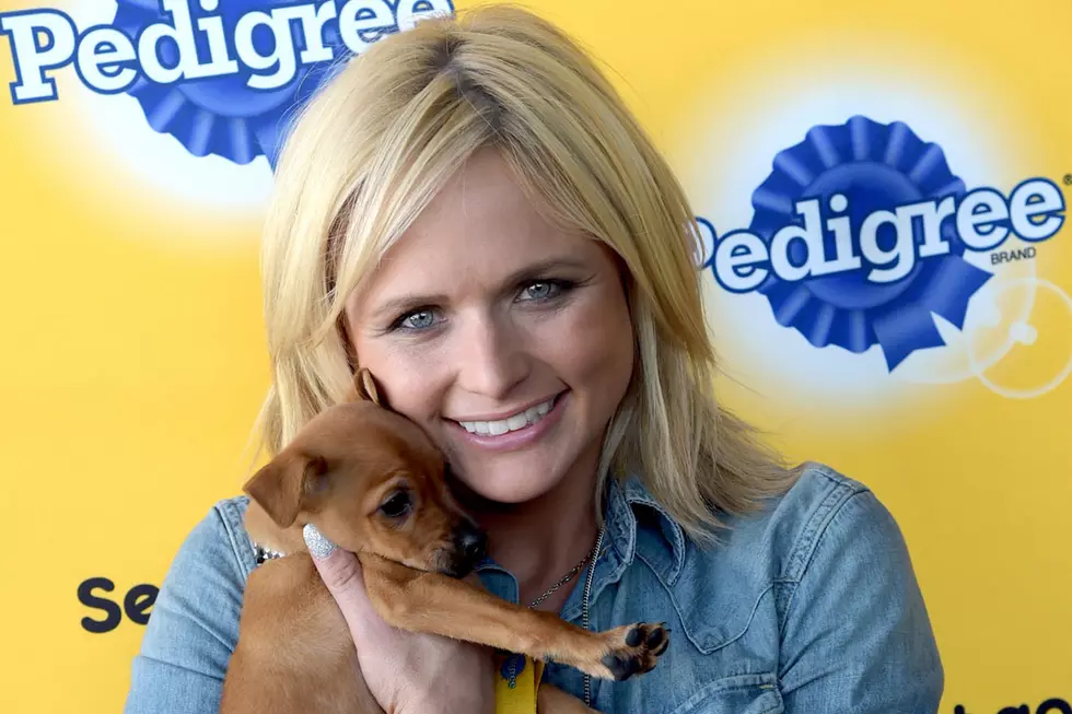 Poll: Which Country Star Has the Cutest Dog?