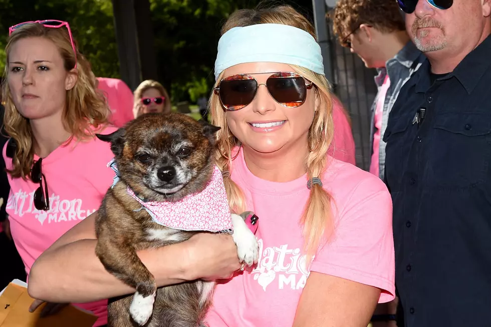 Miranda Lambert’s MuttNation Is Helping to Empty Nashville Animal Shelter