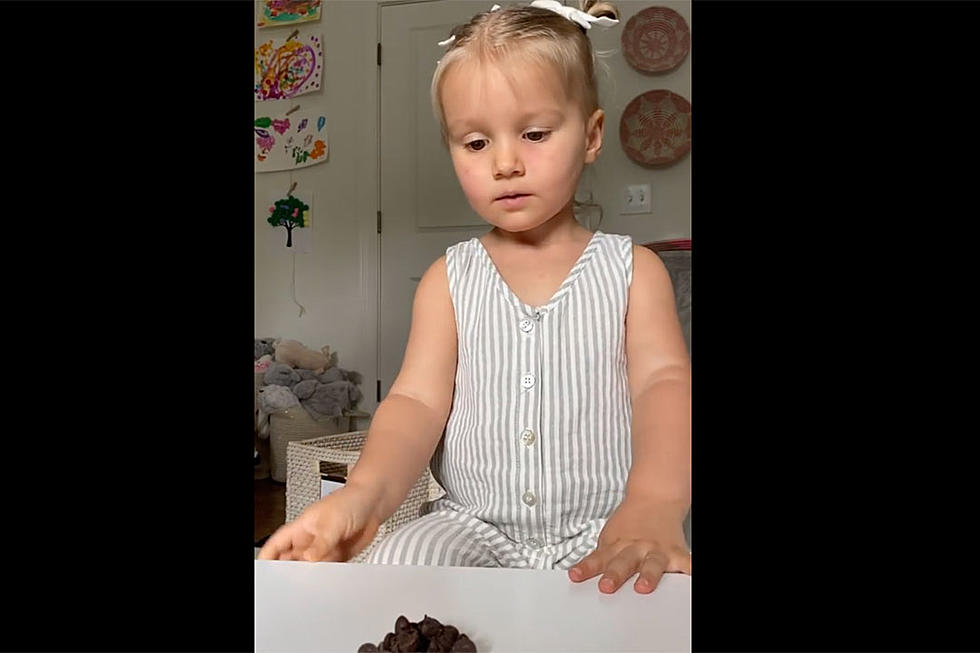 WATCH: Tyler Hubbard's Little Girl Takes the Toddler Challenge