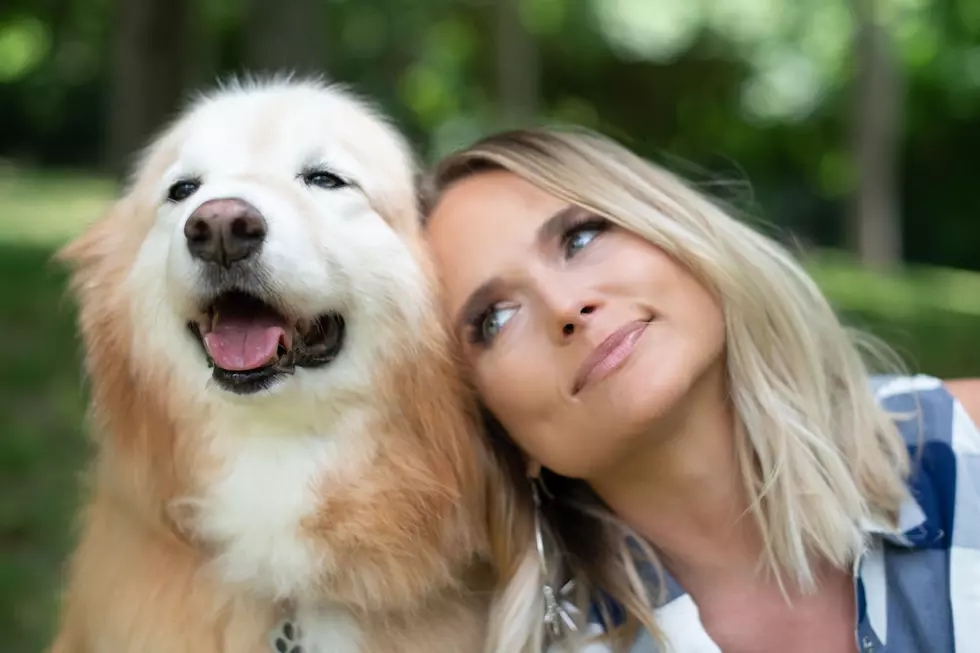 Miranda Lambert Launches MuttNation Fund to Help Musicians’ Pets During the Pandemic