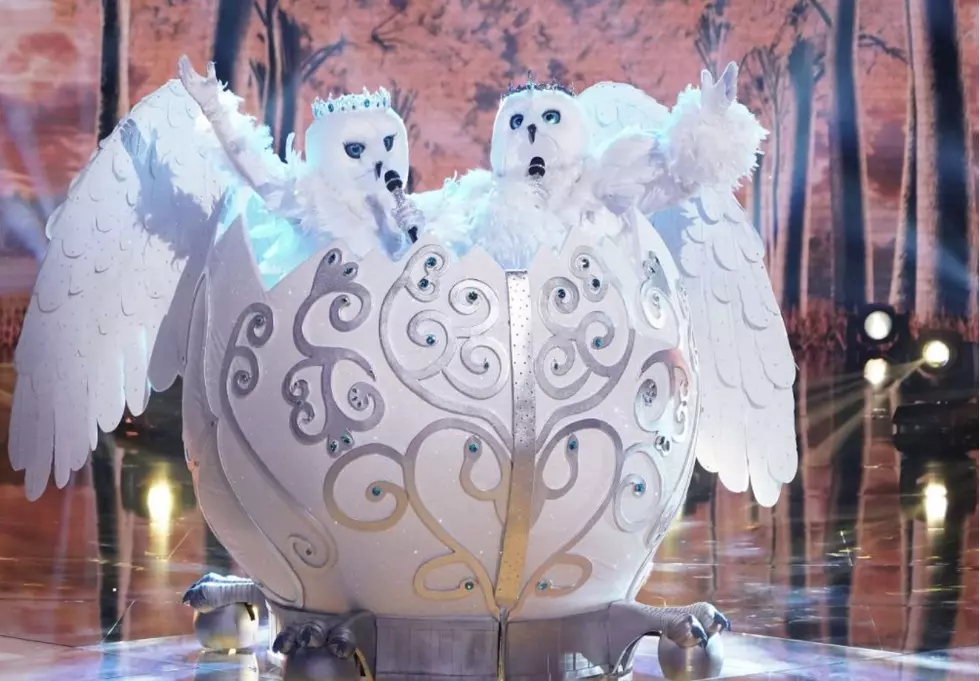 Clint Black and Lisa Hartman Unmasked as Snow Owls on ‘The Masked Singer’