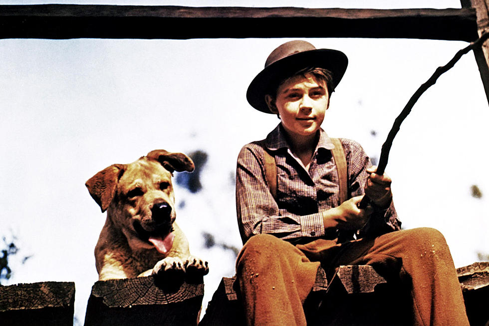 ‘Old Yeller’ Star Tommy Kirk Dead at 79