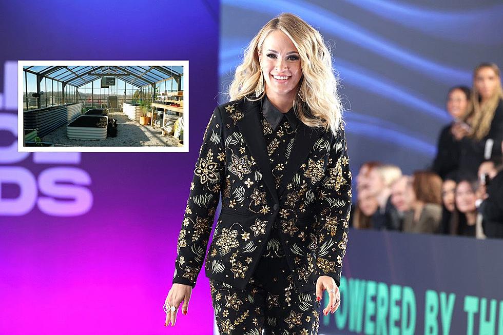 Take a Tour of Carrie Underwood's Chicken Coop + Greenhouse