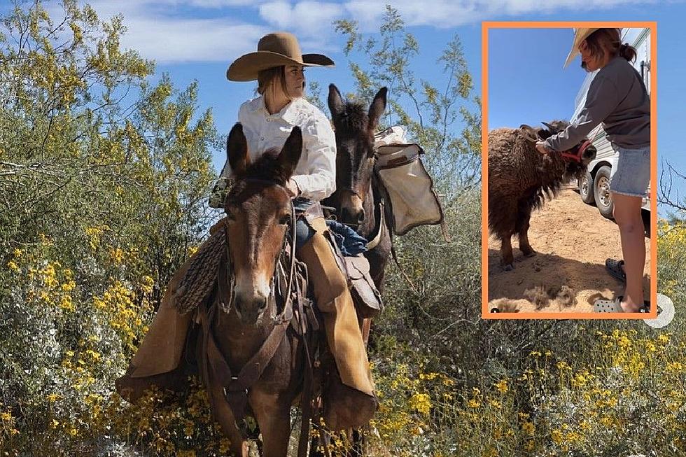 Popular Cowgirl Influencer Emmie Sperandeo Hospitalized After Horse-Related Accident
