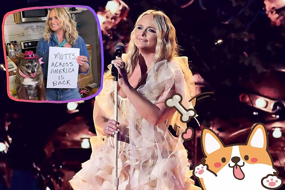 Miranda Lambert's MuttNation Awards $250K to Shelters Across US