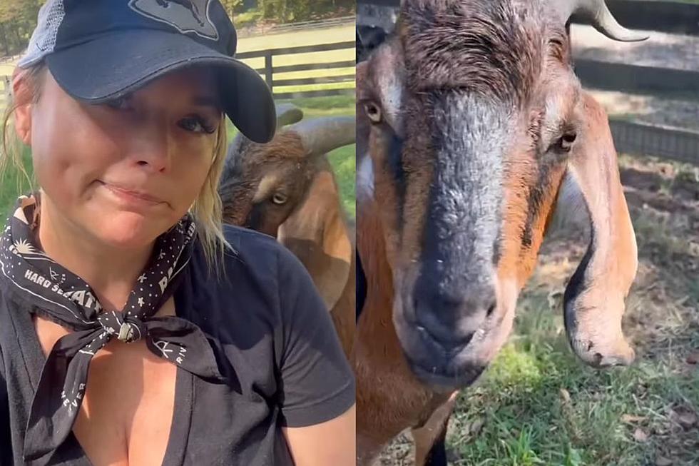 Miranda Lambert Is the G.O.A.T. of All Goat Moms