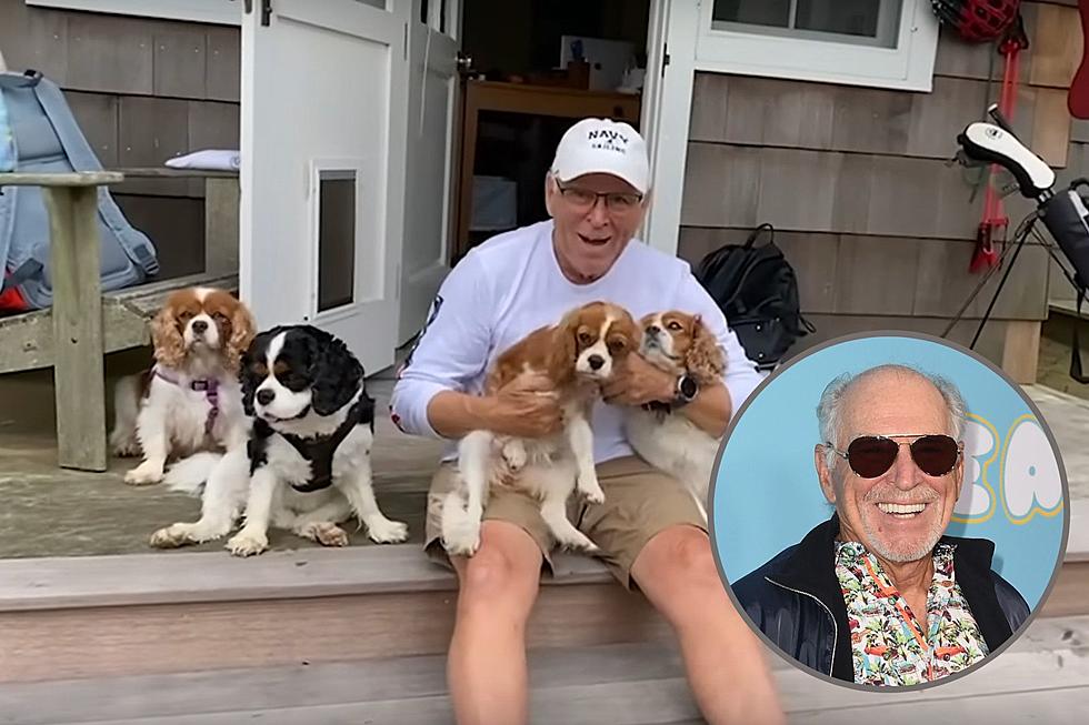 Jimmy Buffett's Tail-Wagging New Video Is for the Dogs, Literally
