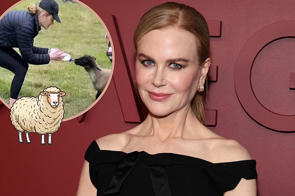 Nicole Kidman Feeds an Adorable Lamb During Her ‘Holiday Chores’