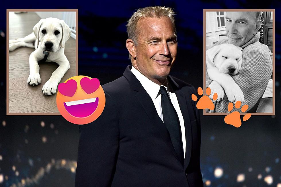 Meet Kevin Costner's New Addition to the Family — A Puppy!