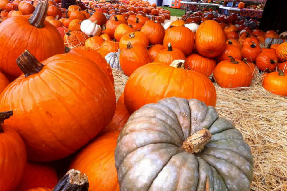 Ag News: U.S. Pumpkin Production