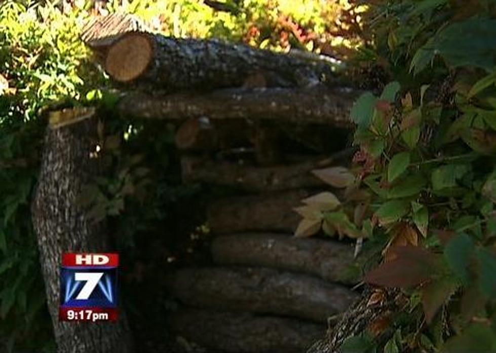9-Year-Old&#8217;s Fort Runs Afoul of Evil Homeowners Association &#8212; Is It Fair?
