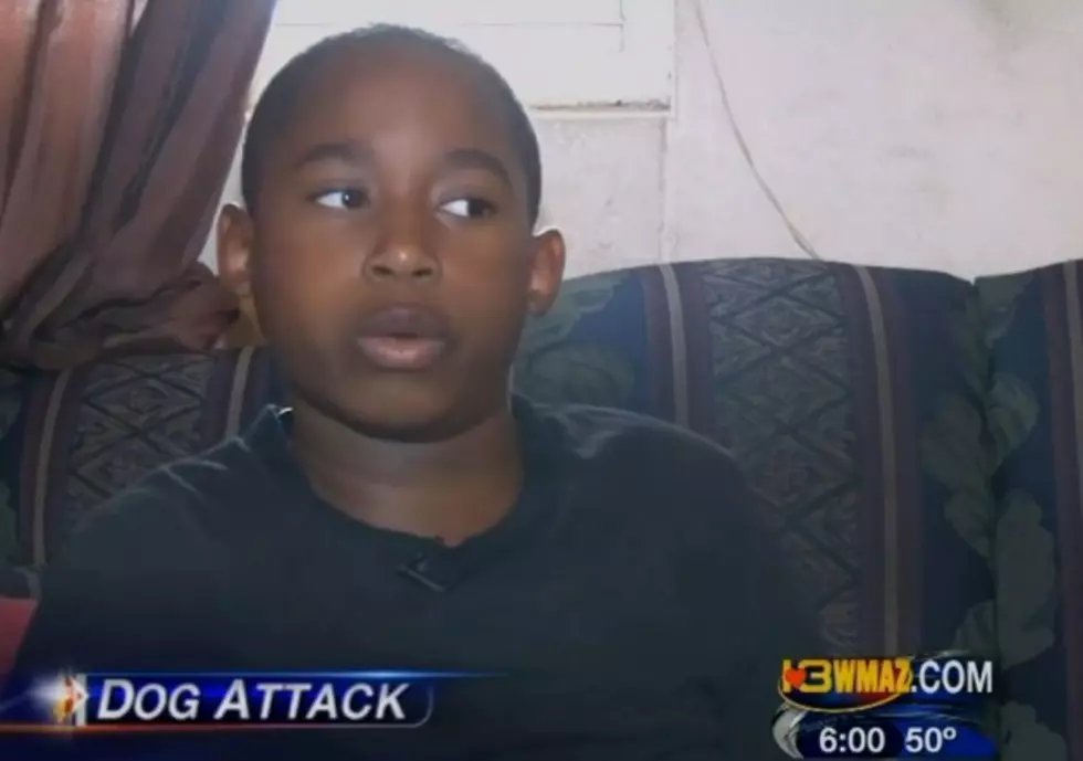 Small Boy Battles Pit Bulls To Save Sister