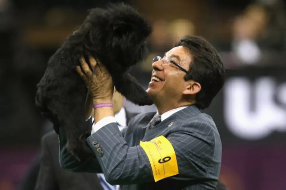 Is the Westminster Dog Show Really a Sport? &#8212; Sports Survey of the Day