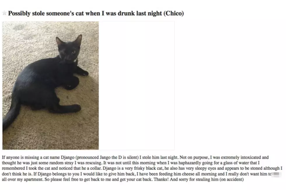 Drunk Man Who Accidentally Stole Cat Would Like Owner to Take It Back