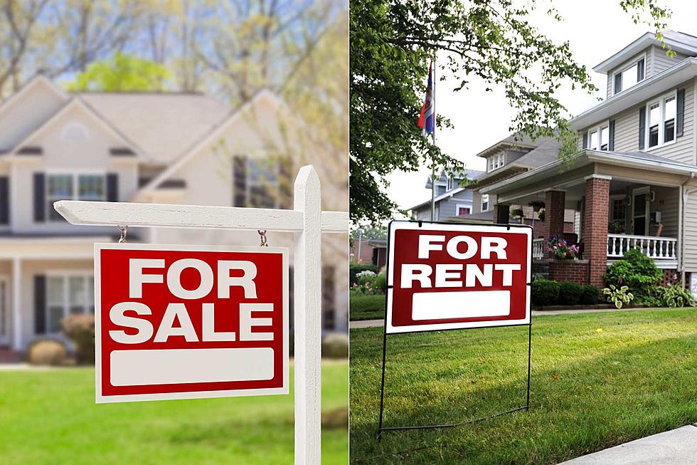 Can You Afford Rent Anymore in Colorado?