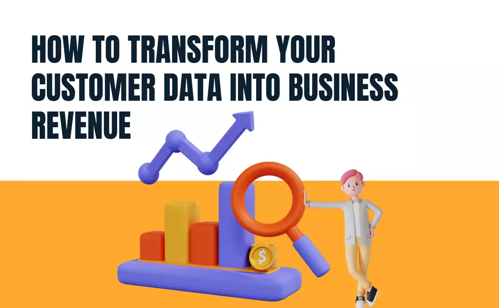 How to Transform Your Customer Data into Business Revenue