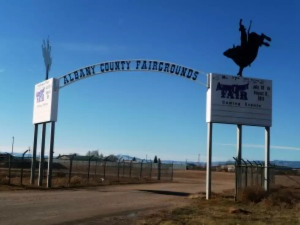 Xi Beta Spring Bazaar Raises Money for Laramie Community
