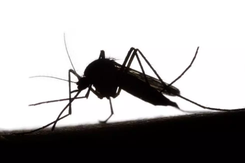 Mosquito Control Begins Tuesday