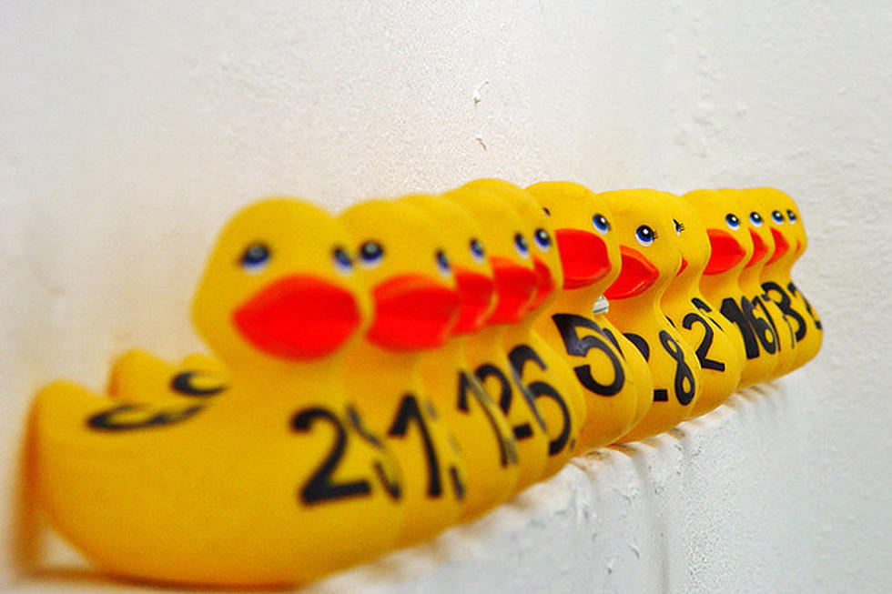 Ready, Set, Quack! Laramie Rotary Rubber Duckies Ready to Race