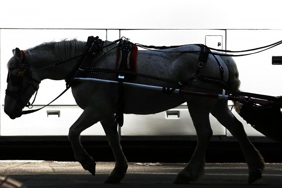 Horse-Drawn Wagon Rides Saturday