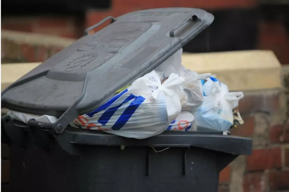 Where to Put Solid Waste This Spring