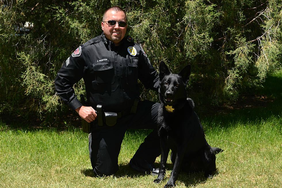 Albany County Sheriff's Office Welcomes New K9